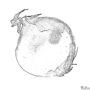 hành tây Các Trang Màu Có Thể In